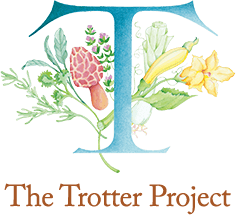 The Trotter Project